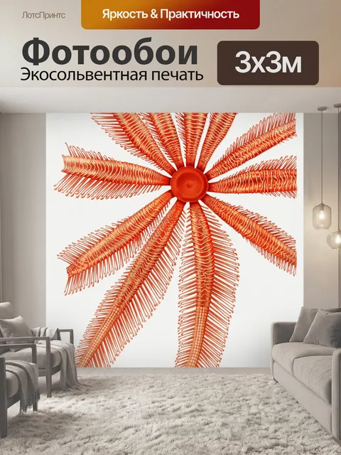 Фотообои Морская звезда старинное искусство стары
