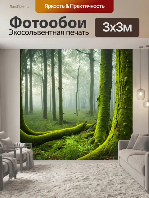 Фотообои утренний туман, мягкий свет пробивается сквозь деревья, зелёные мхи на стволах, птицы поют на фоне