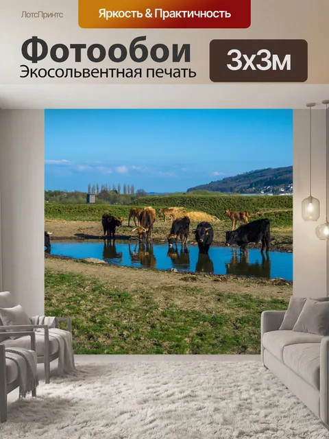 Фотообои Задний говяжья