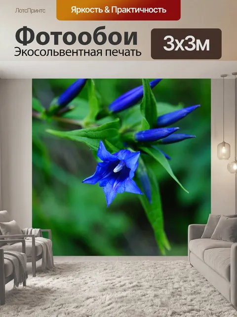 Фотообои Синий