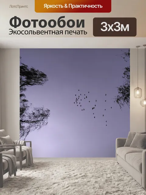 Фотообои Небо
