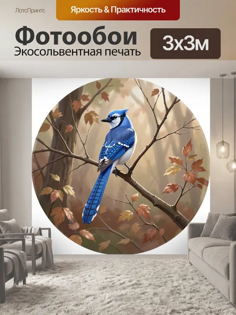 Фотообои Синяя сойка среди осенних ветвей