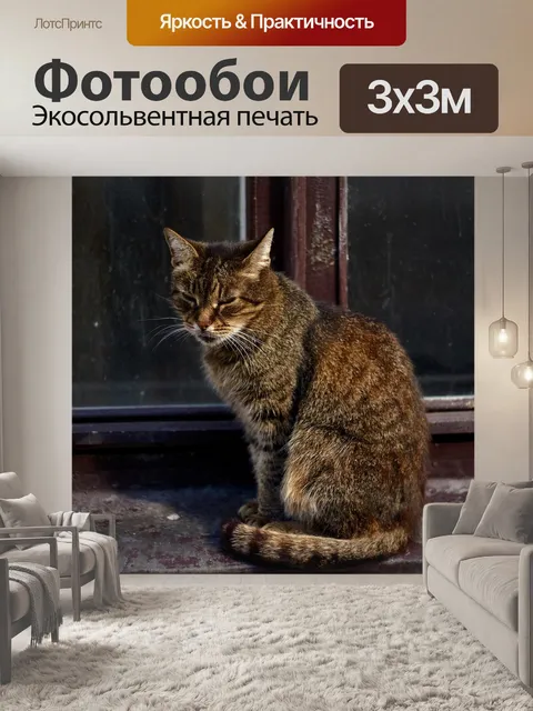 Фотообои Кошка