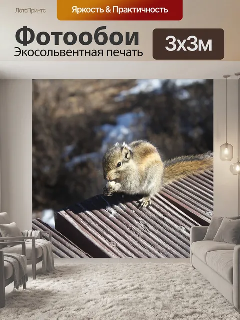 Фотообои Белка