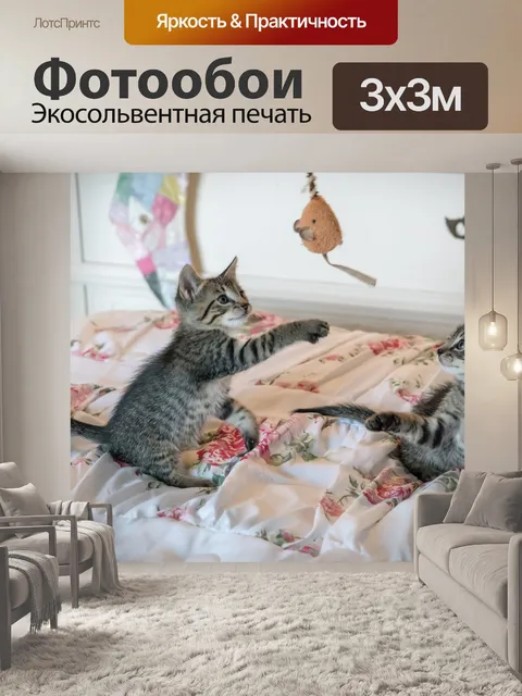 Фотообои Котята