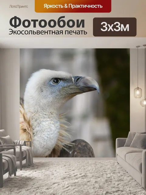 Фотообои Гриф