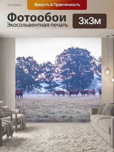 Фотообои Корова