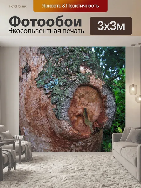 Фотообои большой повреждение на стволе дерева