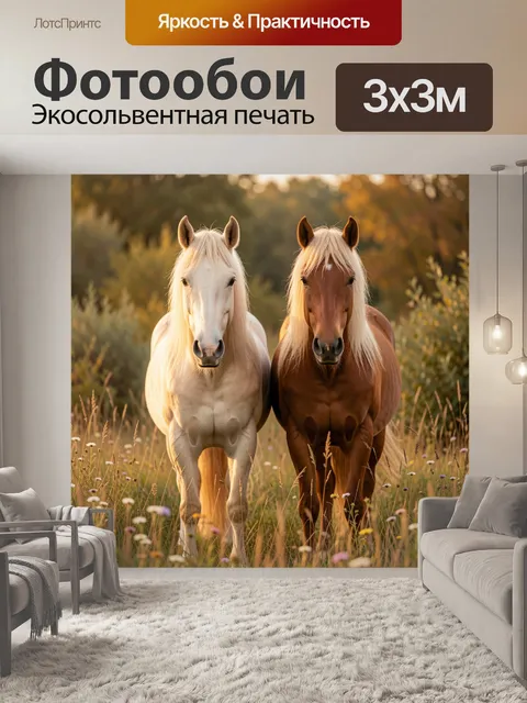 Фотообои Две лошади на лугу