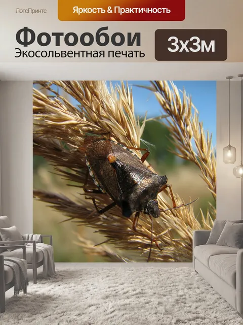 Фотообои Ягодный клоп