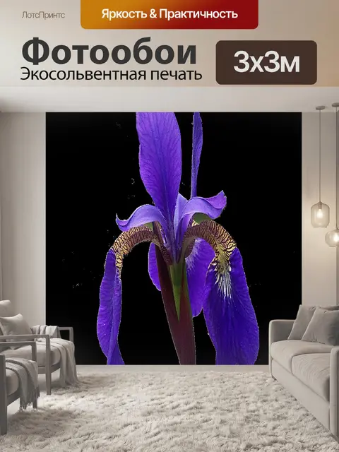Фотообои Цветок