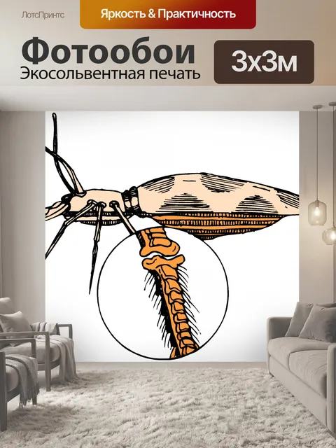 Фотообои Насекомое 42