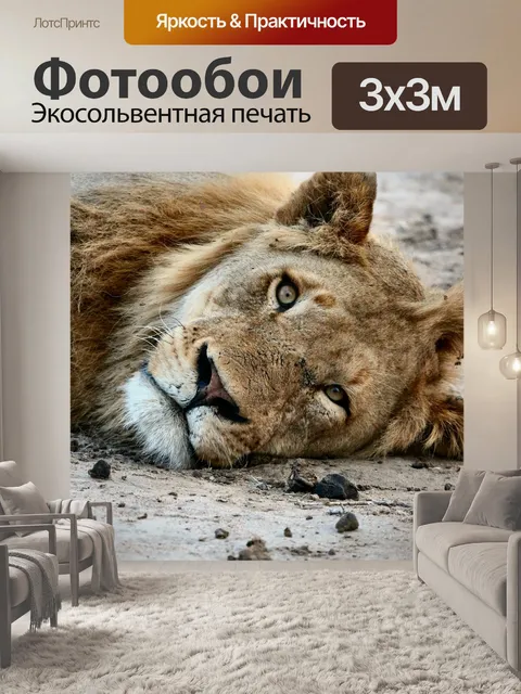 Фотообои Лев