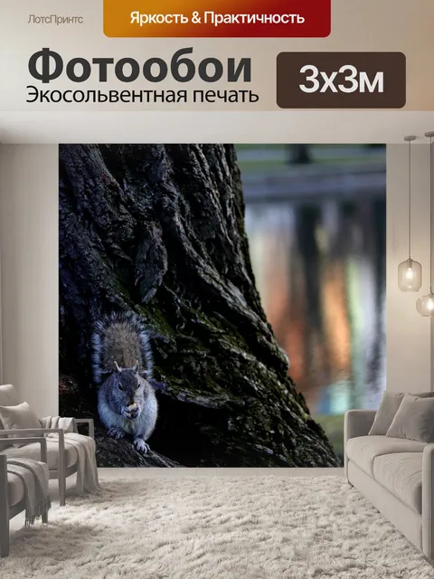Фотообои Серая белка