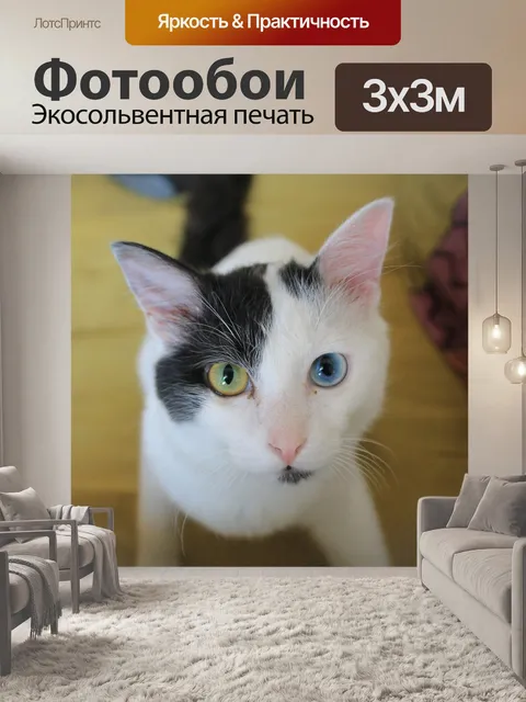 Фотообои Странный
