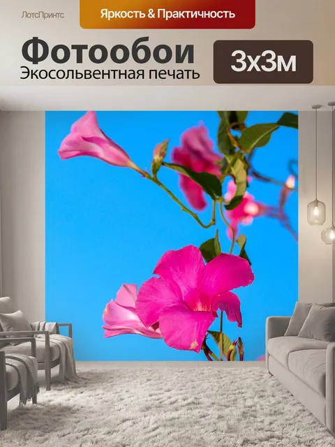 Фотообои Цветок