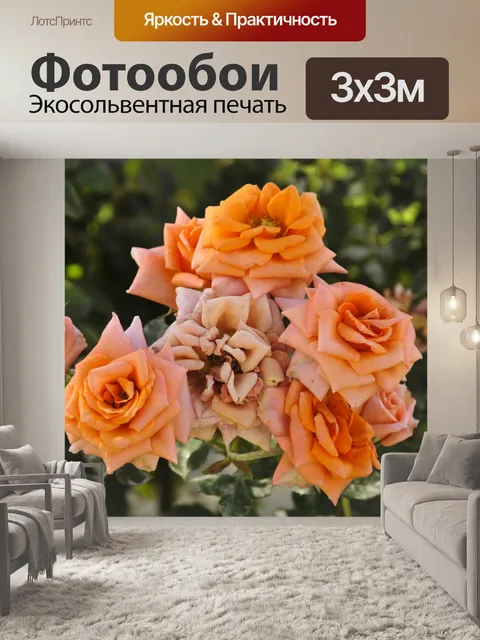 Фотообои Кластер из оранжевых роз