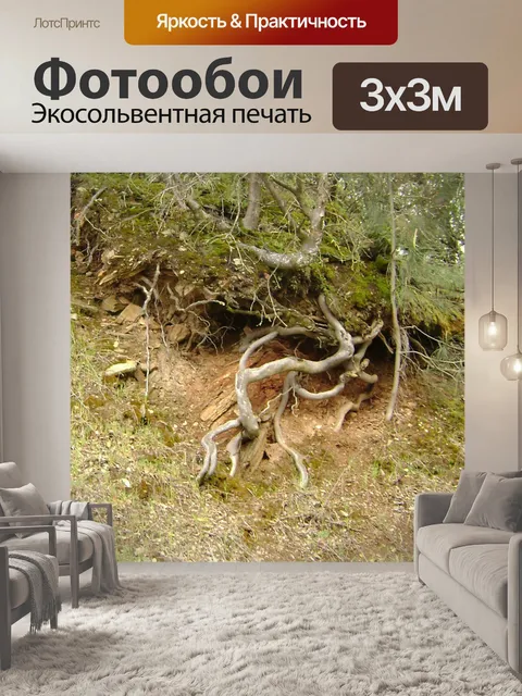 Фотообои Корни деревьев