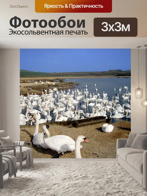 Фотообои Лебединое озеро