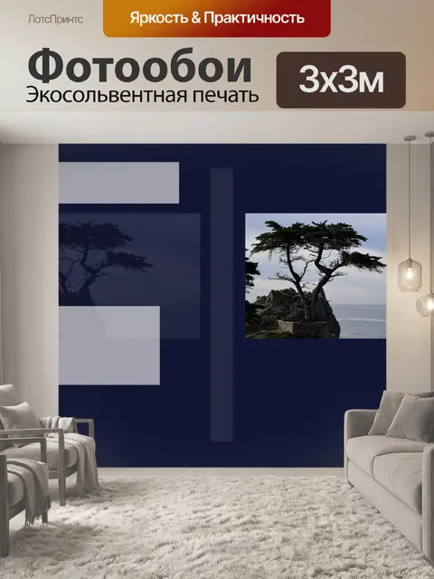 Фотообои Carmel Cypress Обложка книги