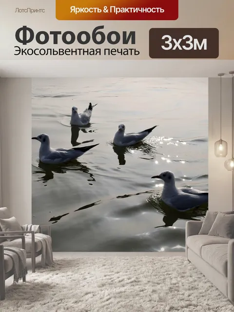 Фотообои Чайки