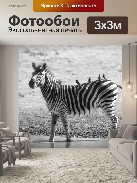 Фотообои Зебра