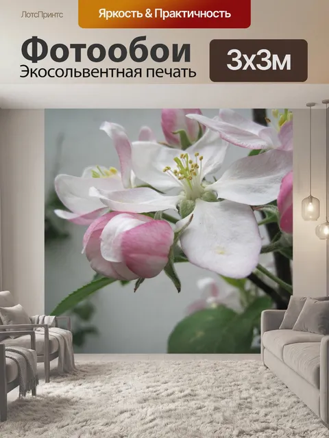 Фотообои Цветение яблони