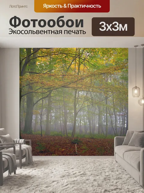 Фотообои Туманный лес