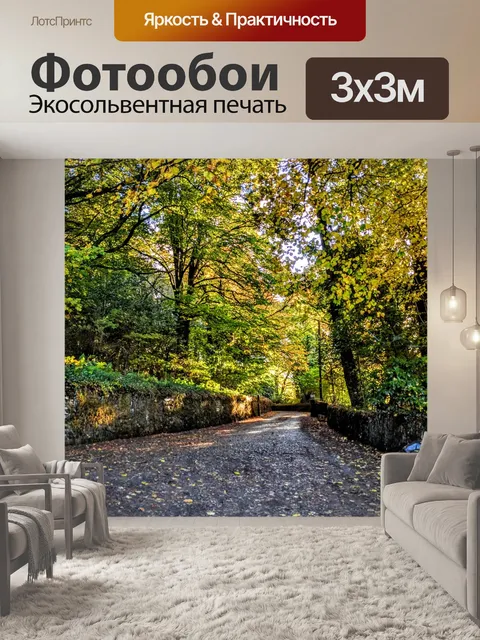 Фотообои Дорога