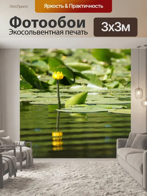 Фотообои Желтая водяная лилия пруд роза цветок