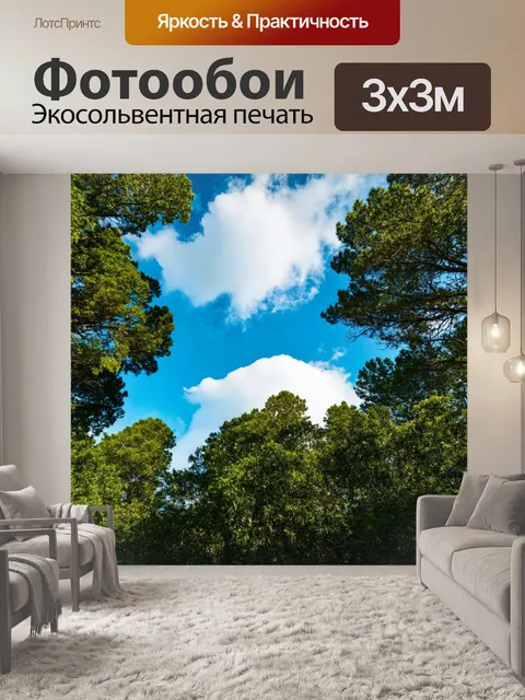 Фотообои лес с пушистыми облаками на голубом небе над деревьями