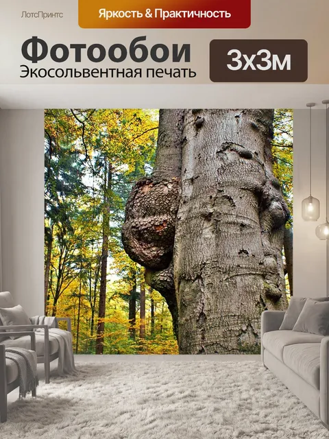 Фотообои Дерево