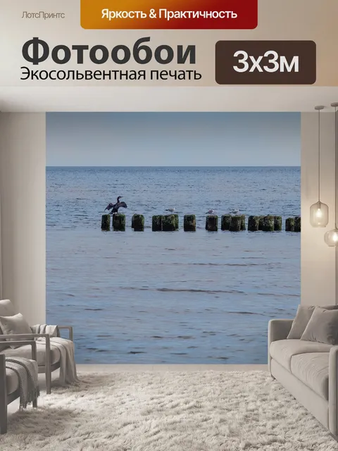 Фотообои Баклан