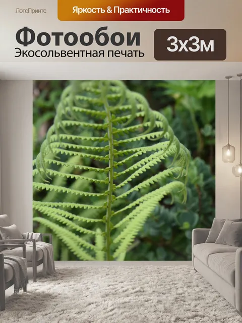 Фотообои Большой лист папоротника крупным планом