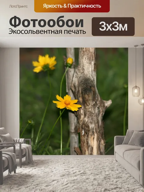 Фотообои ярко-желтый ромашка