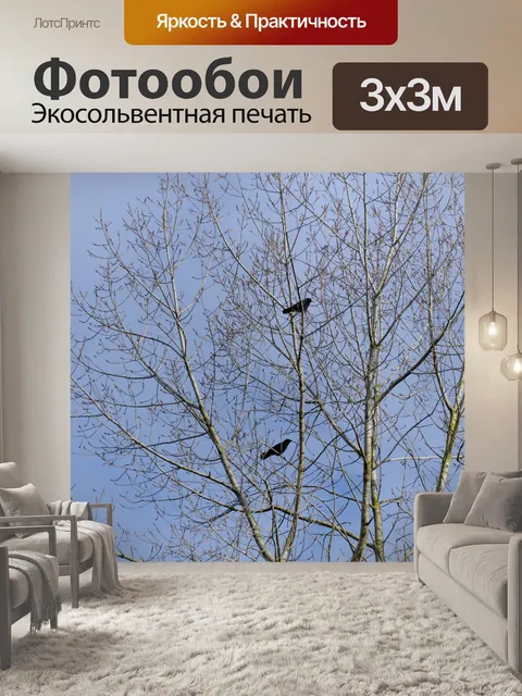 Фотообои Пара ворон