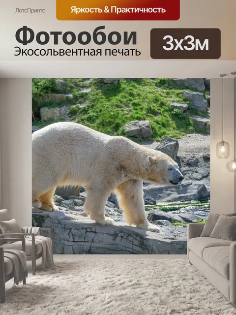 Фотообои Icebear