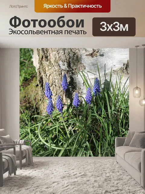 Фотообои Жемчужные гиацинты