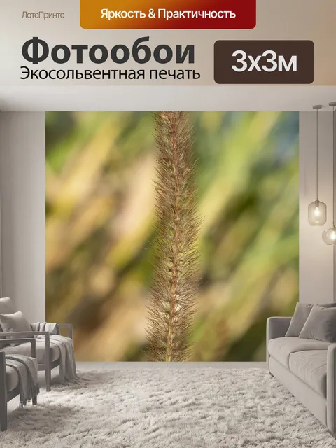 Фотообои Декоративная трава