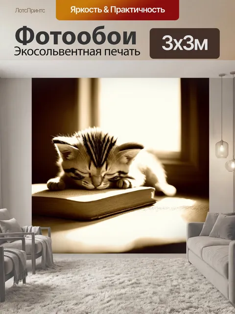 Фотообои крошечный котенок, нежно спящий на старой книге, с легким светом, проникающим через окно