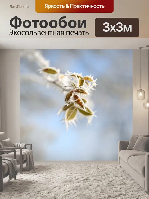 Фотообои Морозный