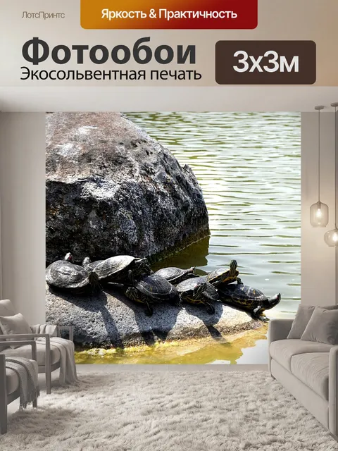 Фотообои Природа