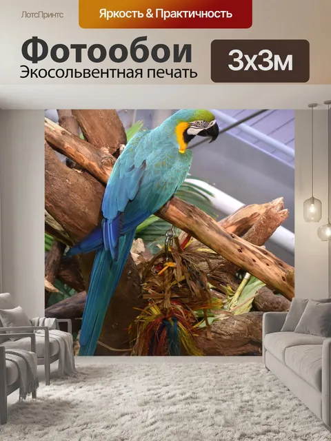 Фотообои Попугай