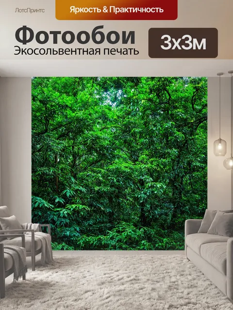 Фотообои лес в тропическом климате, с яркими зелеными лиственными деревьями и экзотическими растениями