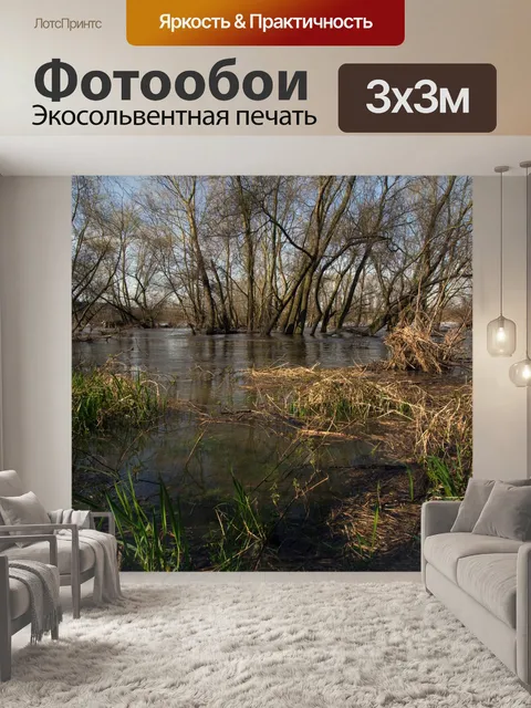 Фотообои Рейн