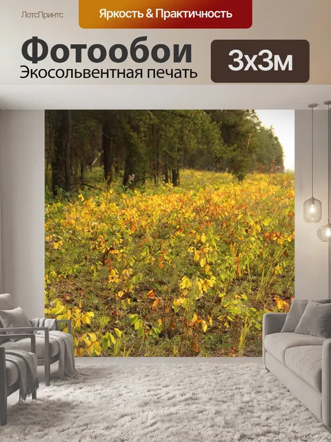 Фотообои Осень желтые листья Деревья