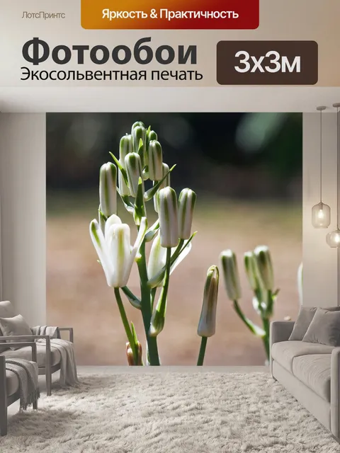 Фотообои белые и зеленые бутоны лилии слизи