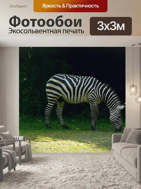 Фотообои Зебра