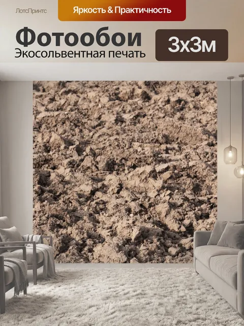 Фотообои Засуха земляная почва