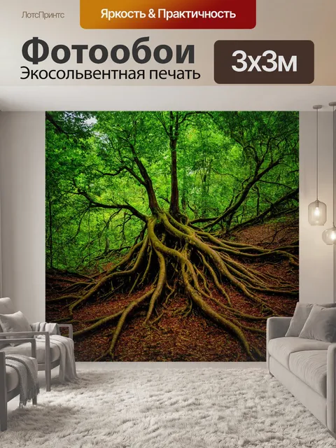 Фотообои нетронутый лес с древними деревьями и запутанными корнями